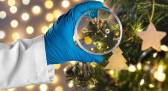 Tira subito fuori l’albero di Natale, così non avrai più scuse: va lavato prima di essere addobbato