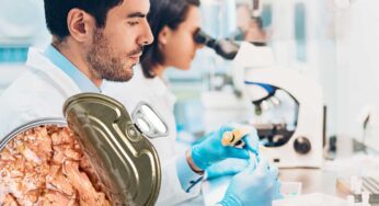 Tonno in scatola, allerta contaminazioni: cosa mettiamo nei nostri piatti