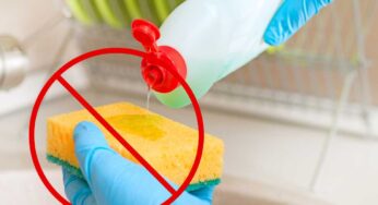 Innovazione nella pulizia: la soluzione economica che sostituisce la spugna da cucina