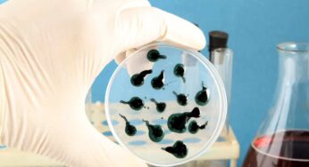 Nuovo virus mortale carnivoro, allarme su questi alimenti: c’è una vittima